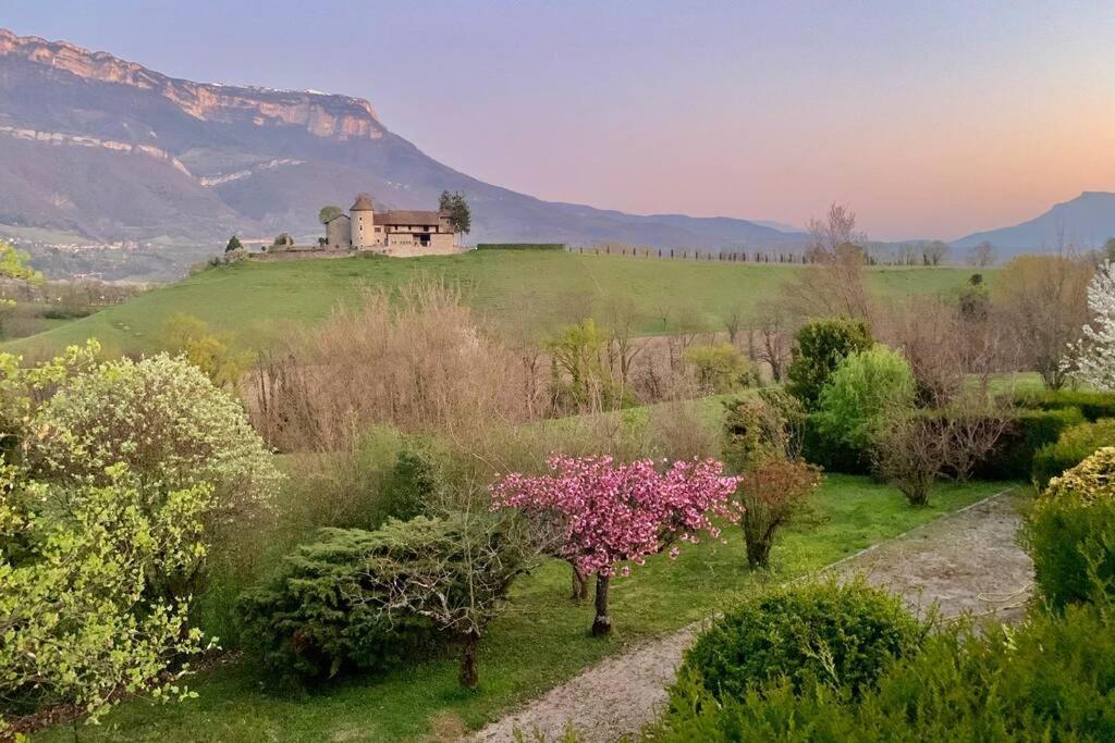 Au Calme Avec Vue Magnifique A Saint Maximin Apartment Екстериор снимка
