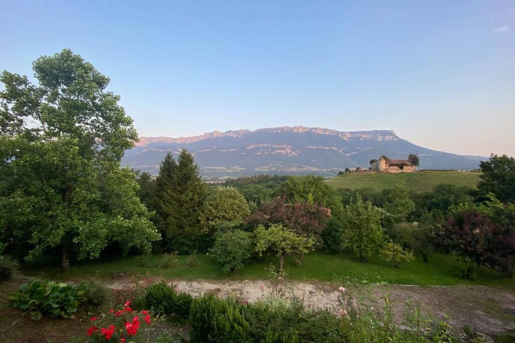 Au Calme Avec Vue Magnifique A Saint Maximin Apartment Екстериор снимка