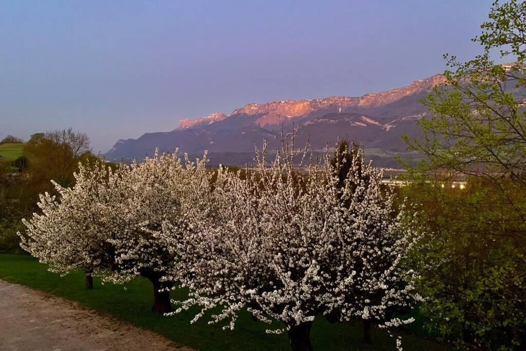 Au Calme Avec Vue Magnifique A Saint Maximin Apartment Екстериор снимка